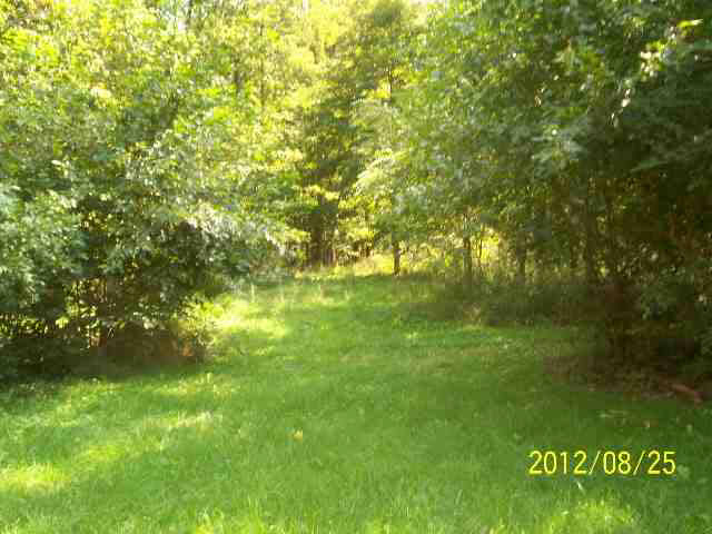 917 East County Road Eaton, IN 47338 - Photo 4 of 10 Gallery Image 4
