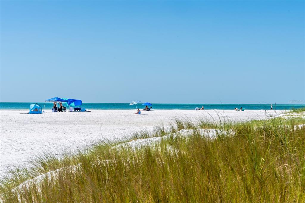 417 Poinsettia Road Anna Maria, FL 34216 - Photo 47 of 50