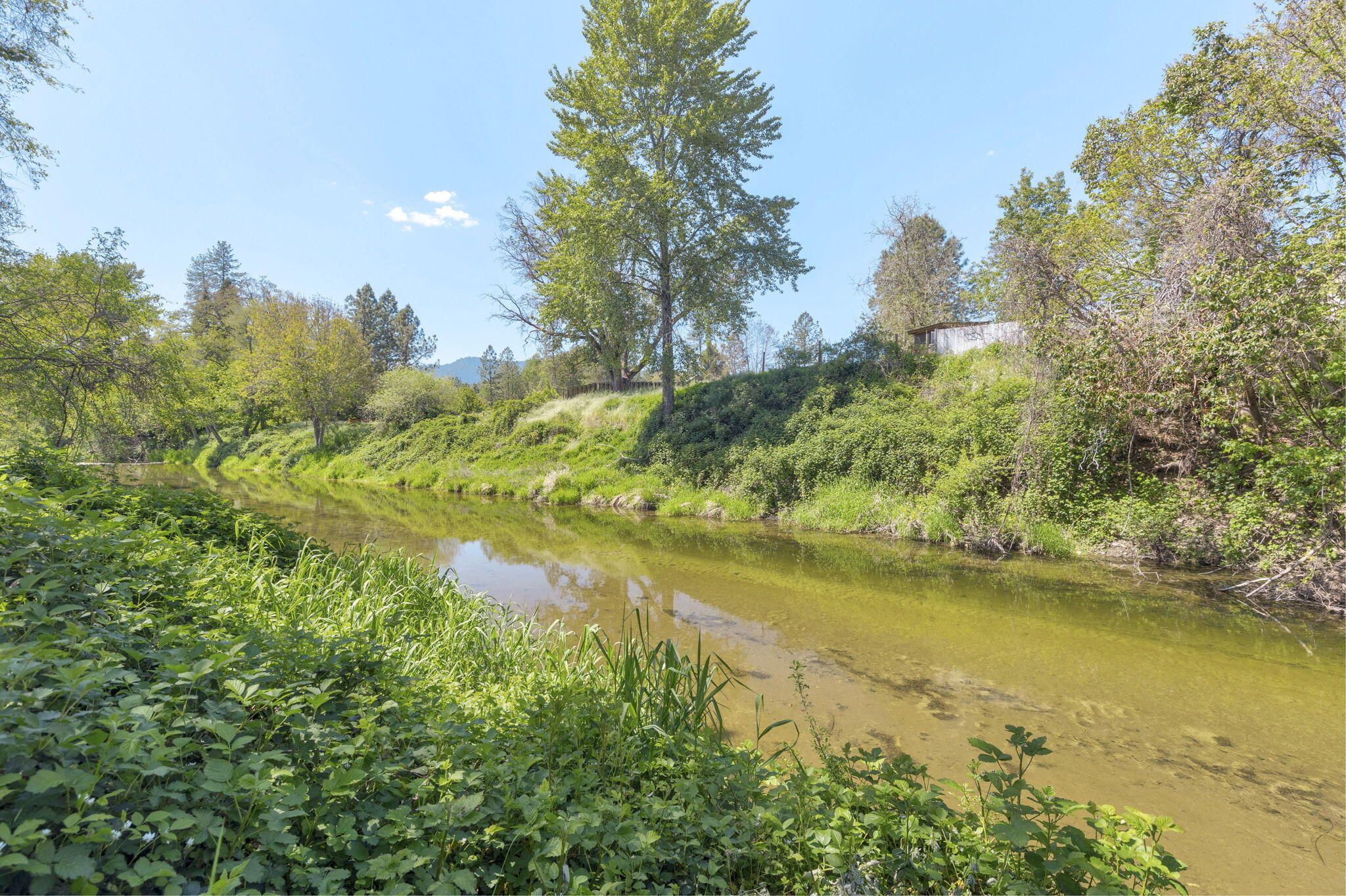 637 Covered Bridge Road Rogue River, OR 97537 - Photo 5 of 15 Gallery Image 5