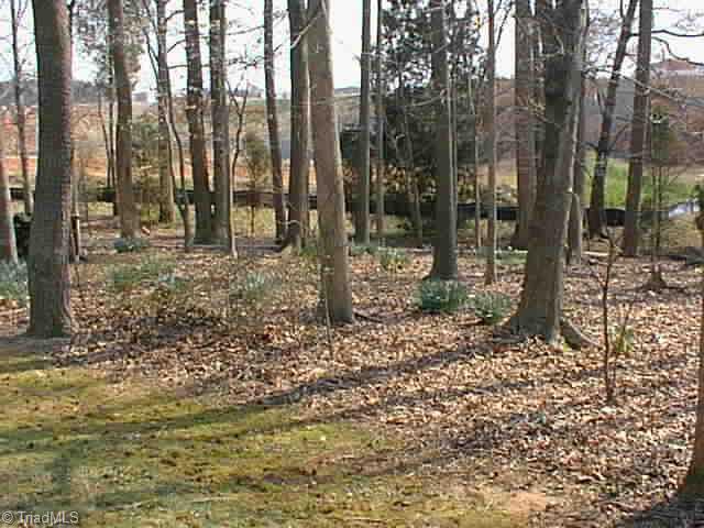 2824 Farmbrook Road Winston-Salem, NC 27103 - Photo 7 of 7 Other. Back yard