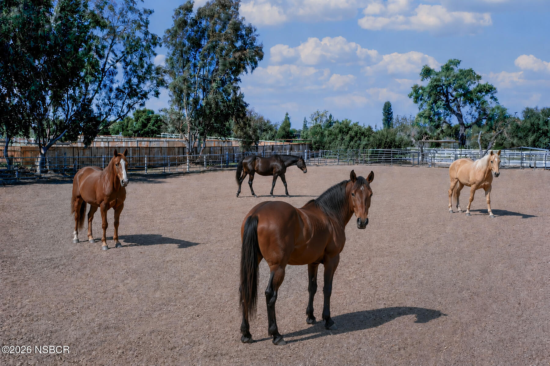 2921 Ontiveros Road Santa Ynez, CA 93460 - Photo 35 of 88 OT HORSES final one