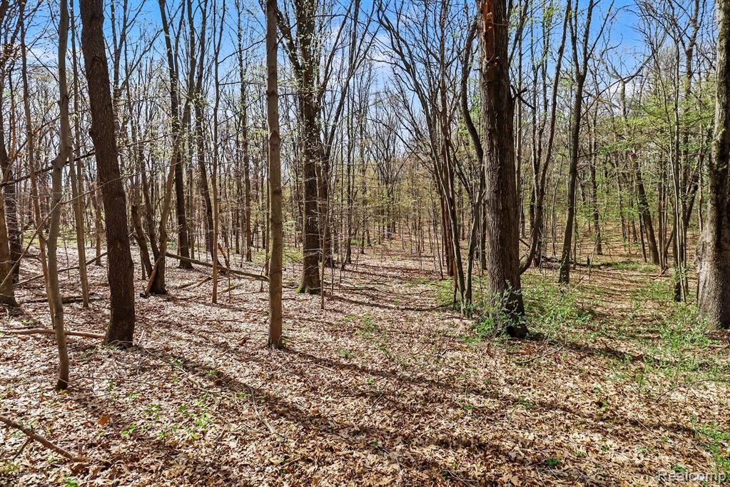 8815 Milford Road Holly, MI 48442 - Photo 29 of 52