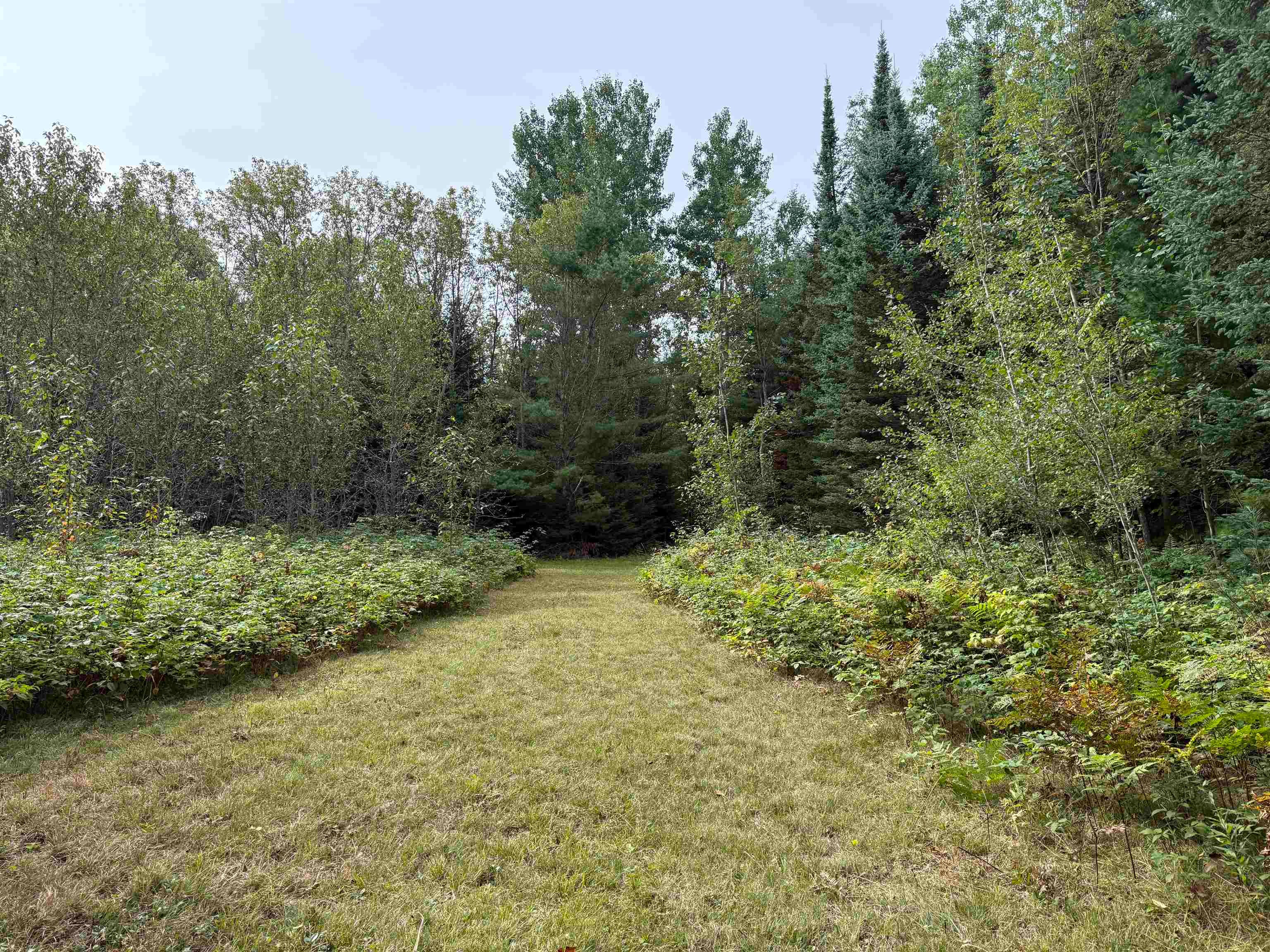 8 Laird Lake Road Hale, MI 48739 - Photo 6 of 17 Gallery Image 6