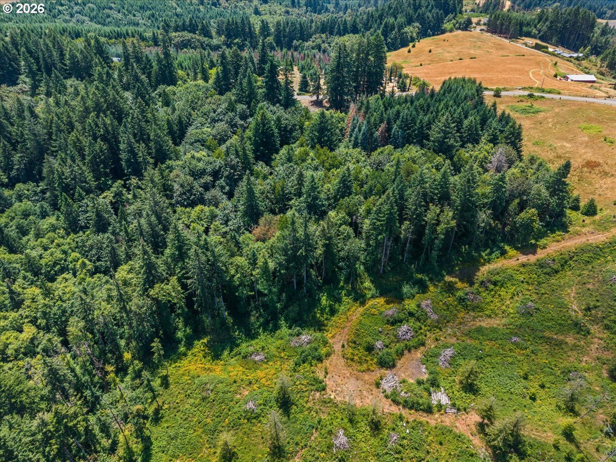 20802 Northwest Pumpkin Ridge Road North Plains, OR 97133 - Photo 5 of 18