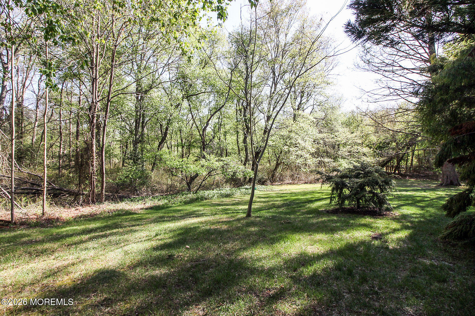 29 East Road, Unit D Jackson, NJ 08527 - Photo 18 of 23 Yard