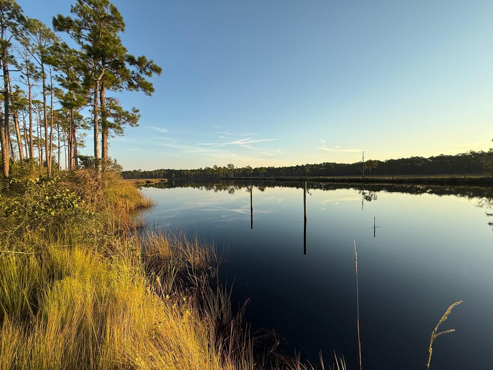 649 Mill Road Carrabelle, FL 32322 - Photo 12 of 28