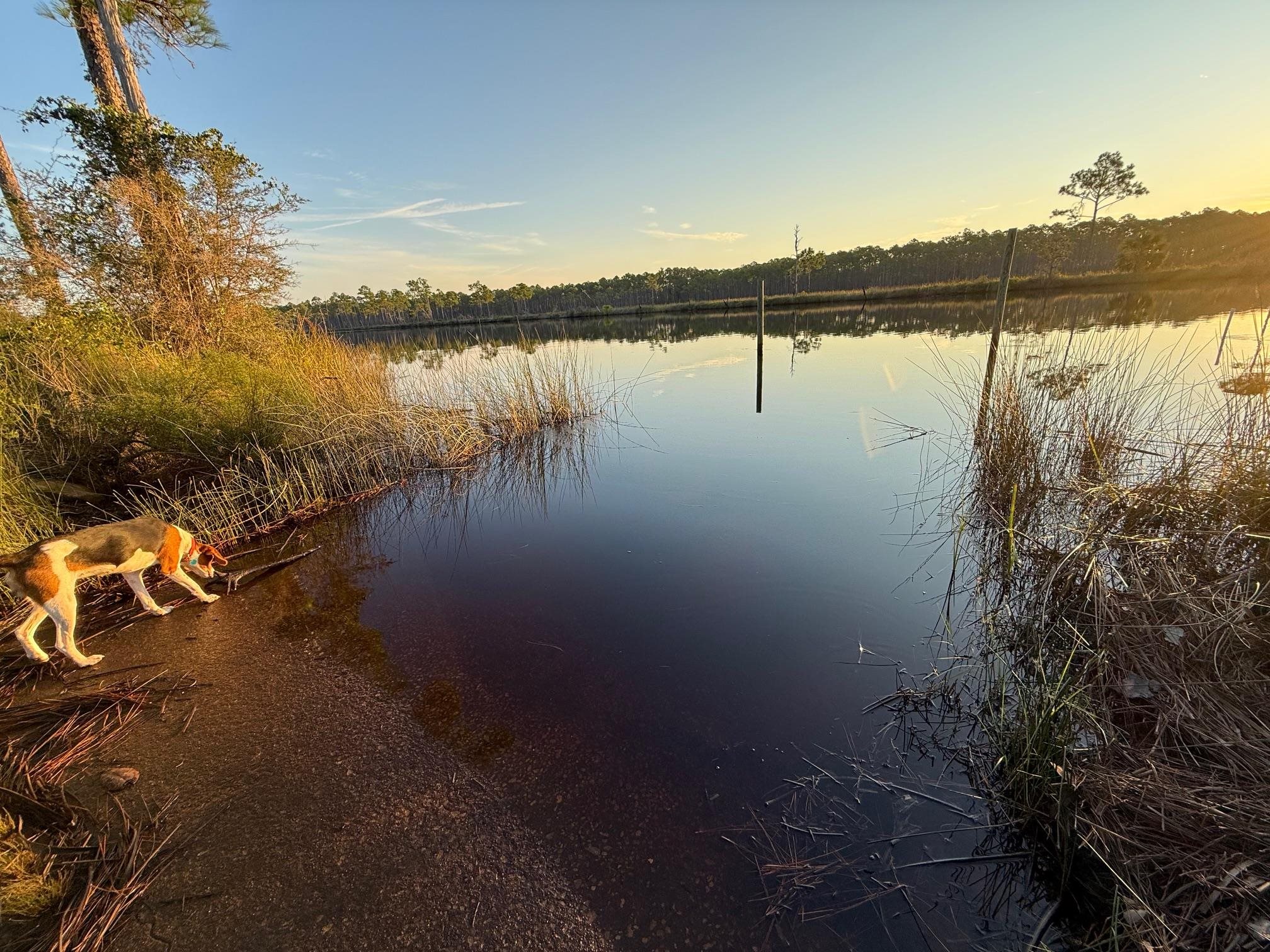 649 Mill Road Carrabelle, FL 32322 - Photo 13 of 28