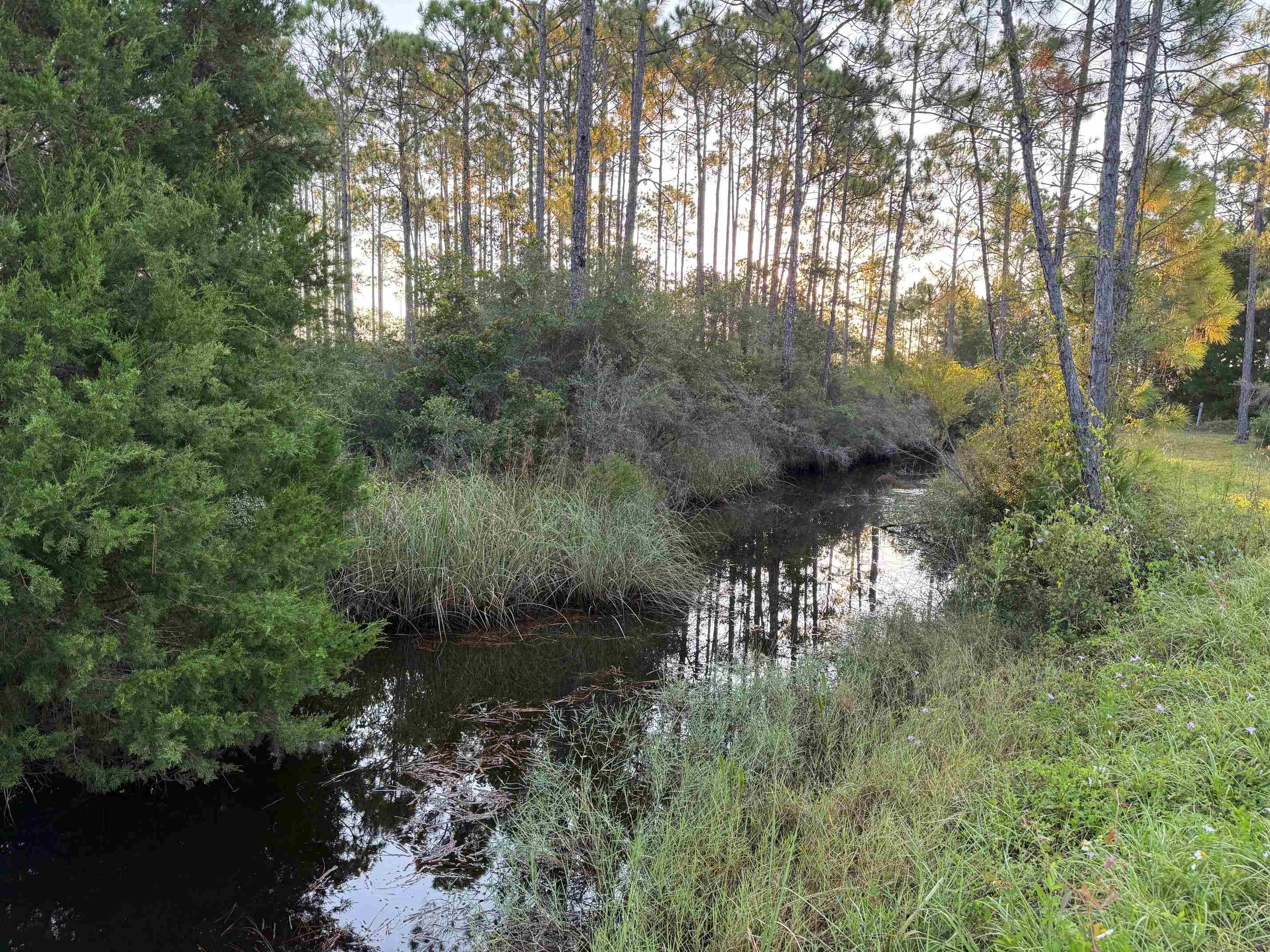 649 Mill Road Carrabelle, FL 32322 - Photo 13 of 26