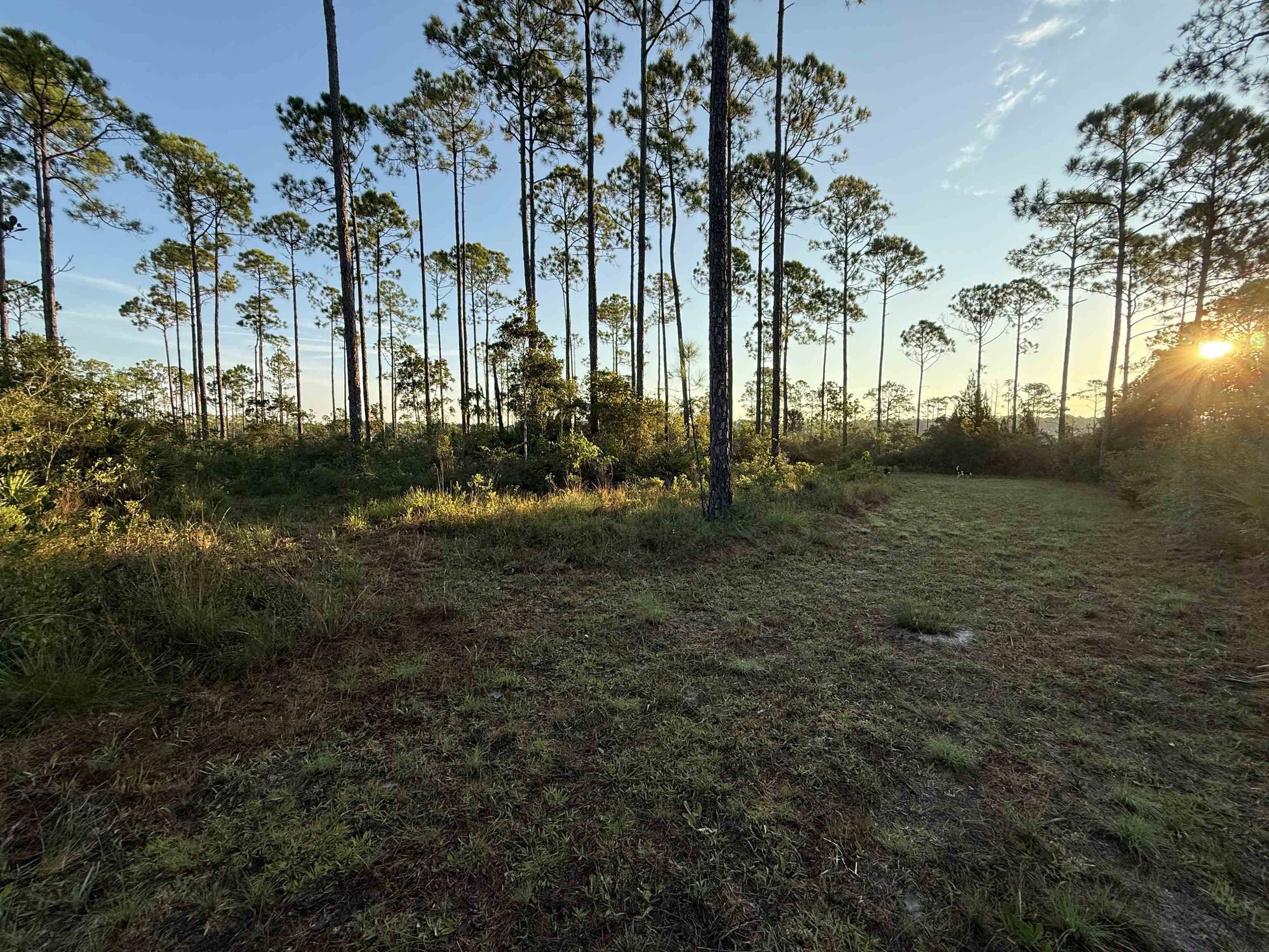 649 Mill Road Carrabelle, FL 32322 - Photo 16 of 28