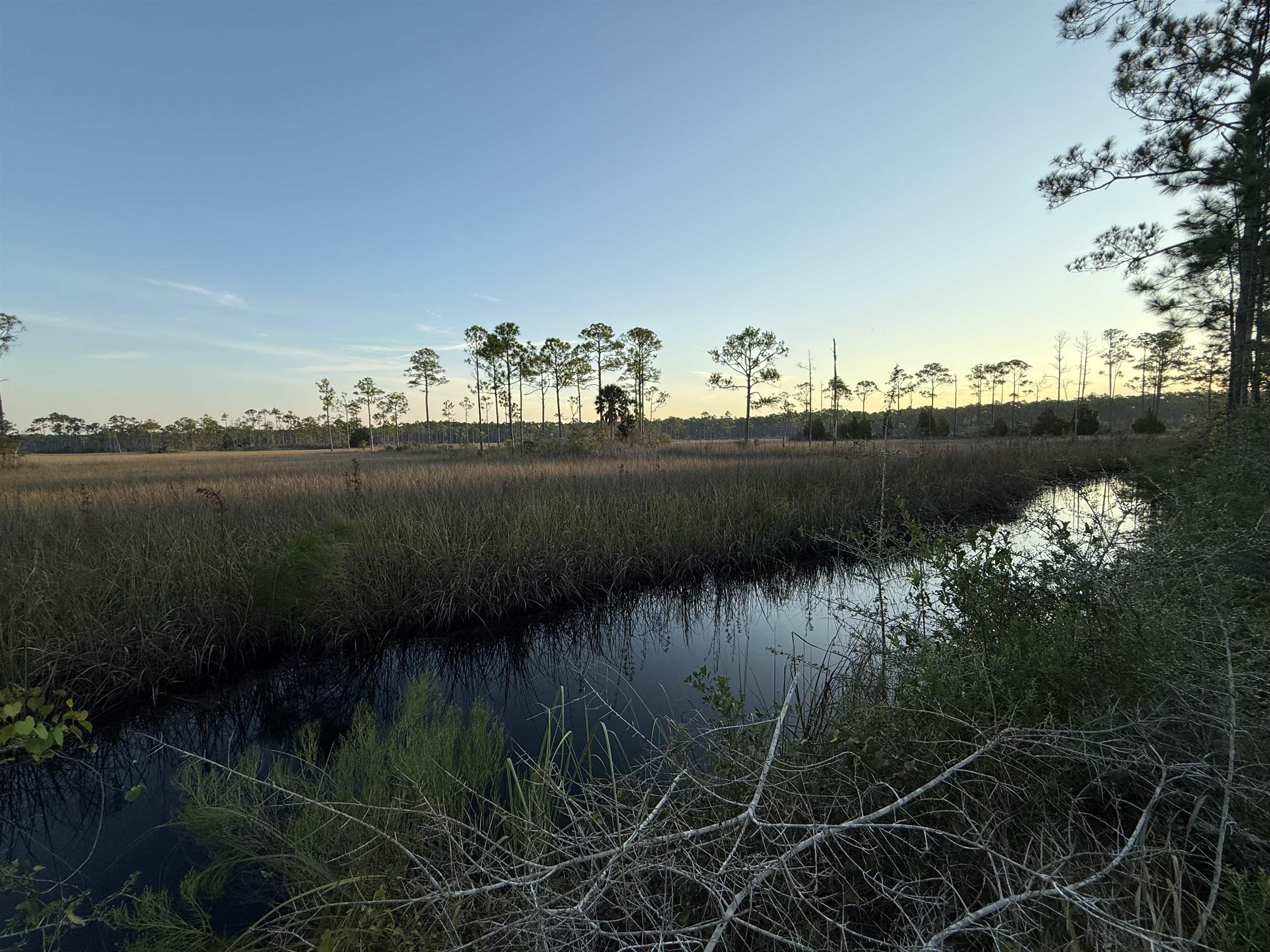 649 Mill Road Carrabelle, FL 32322 - Photo 16 of 28 Gallery Image 16
