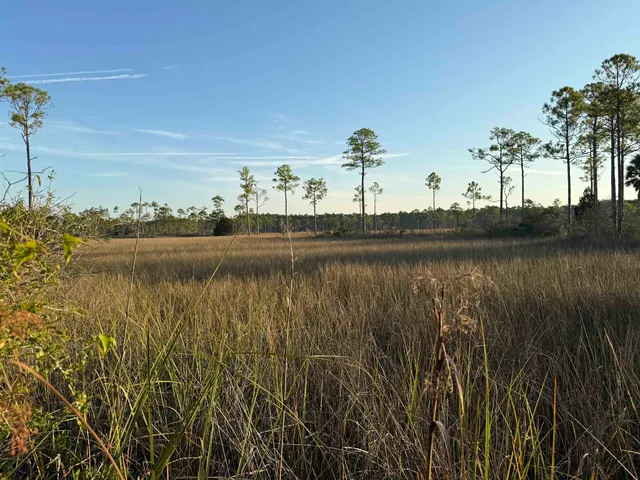 $225,000 | 649 Mill Road, Carrabelle, FL 32322