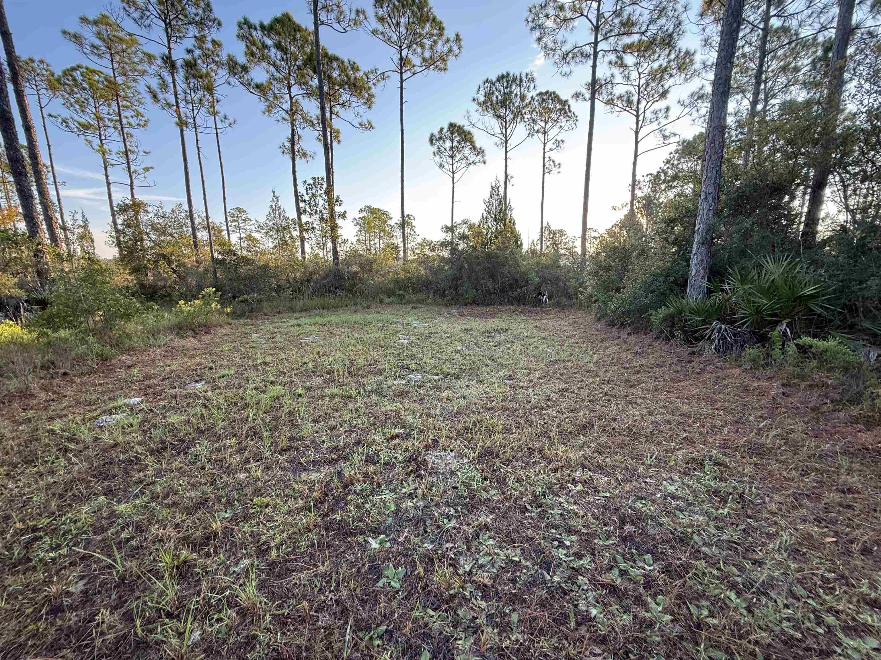 649 Mill Road Carrabelle, FL 32322 - Photo 17 of 28