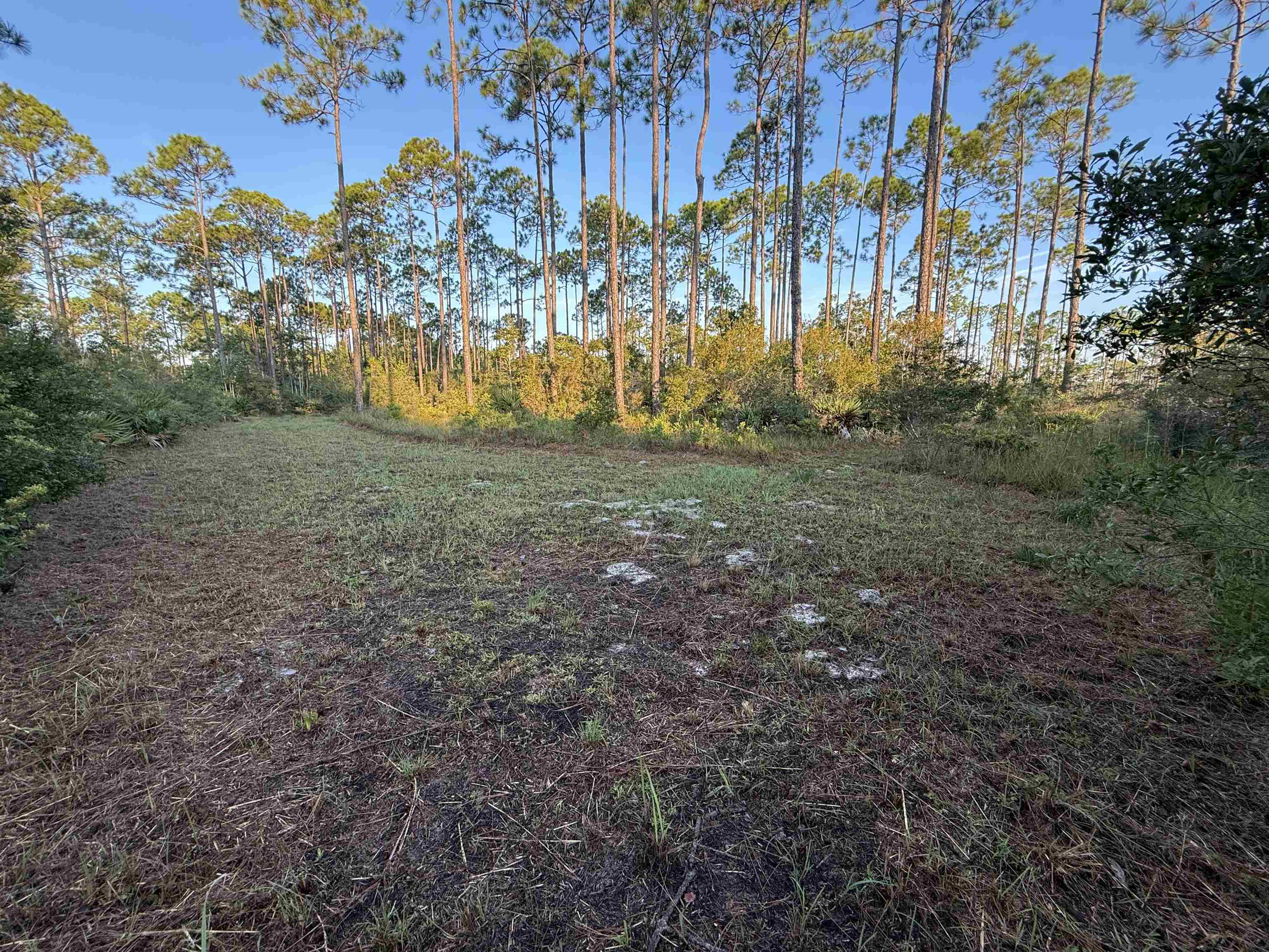 649 Mill Road Carrabelle, FL 32322 - Photo 18 of 28