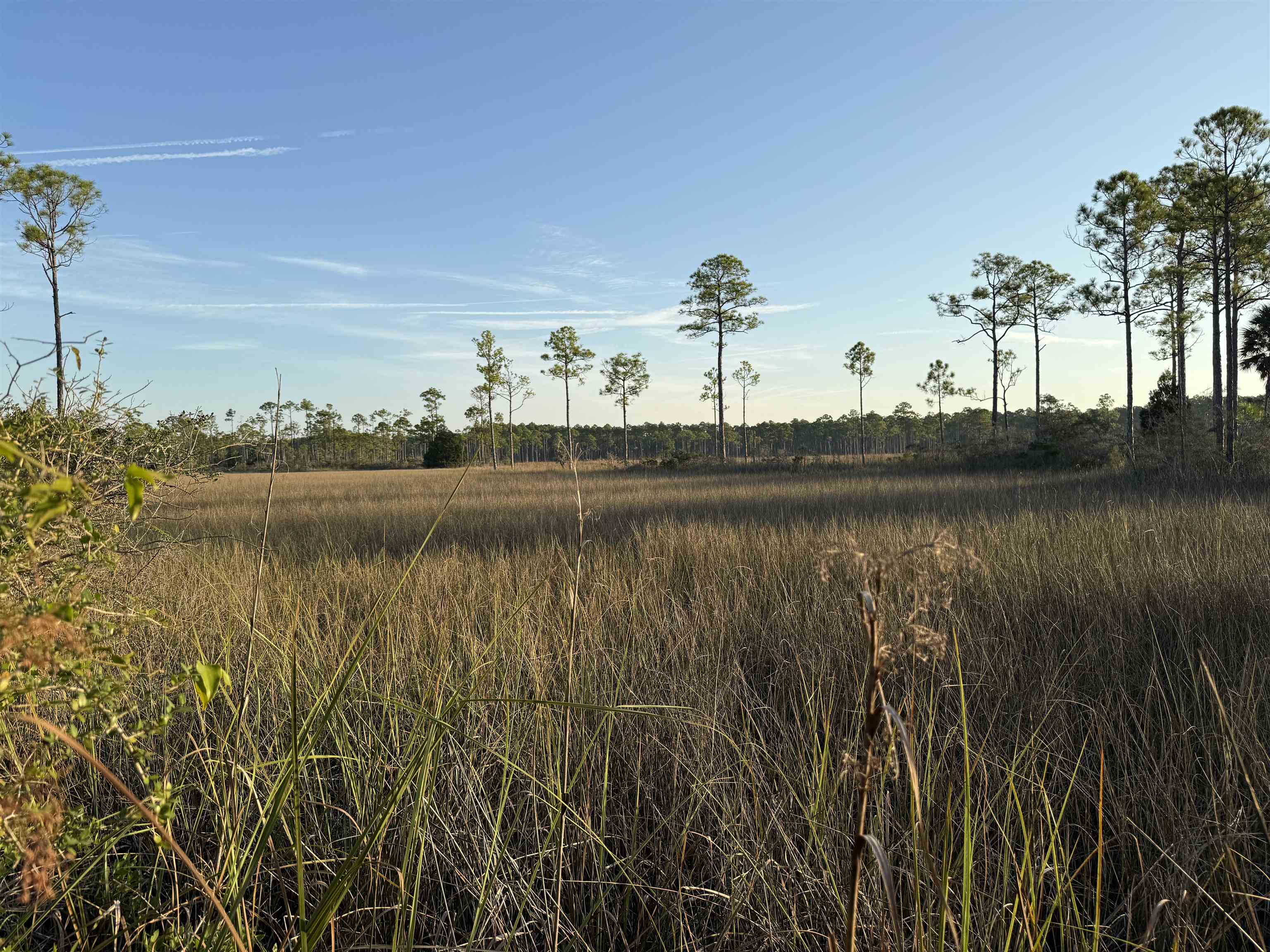 649 Mill Road Carrabelle, FL 32322 - Photo 19 of 28