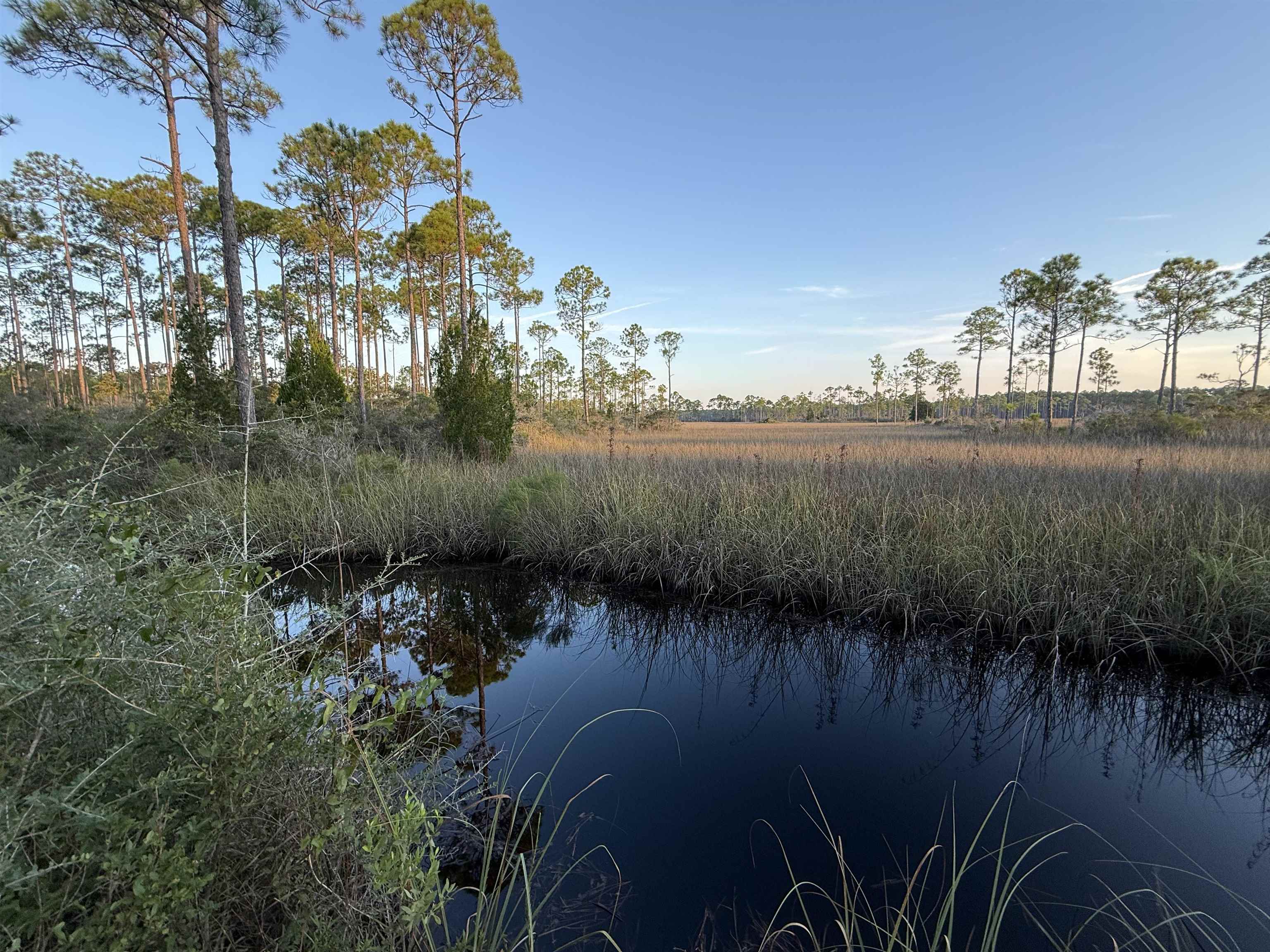 649 Mill Road Carrabelle, FL 32322 - Photo 8 of 26