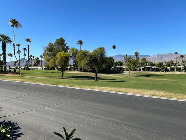 a view of a tennis ground with large trees