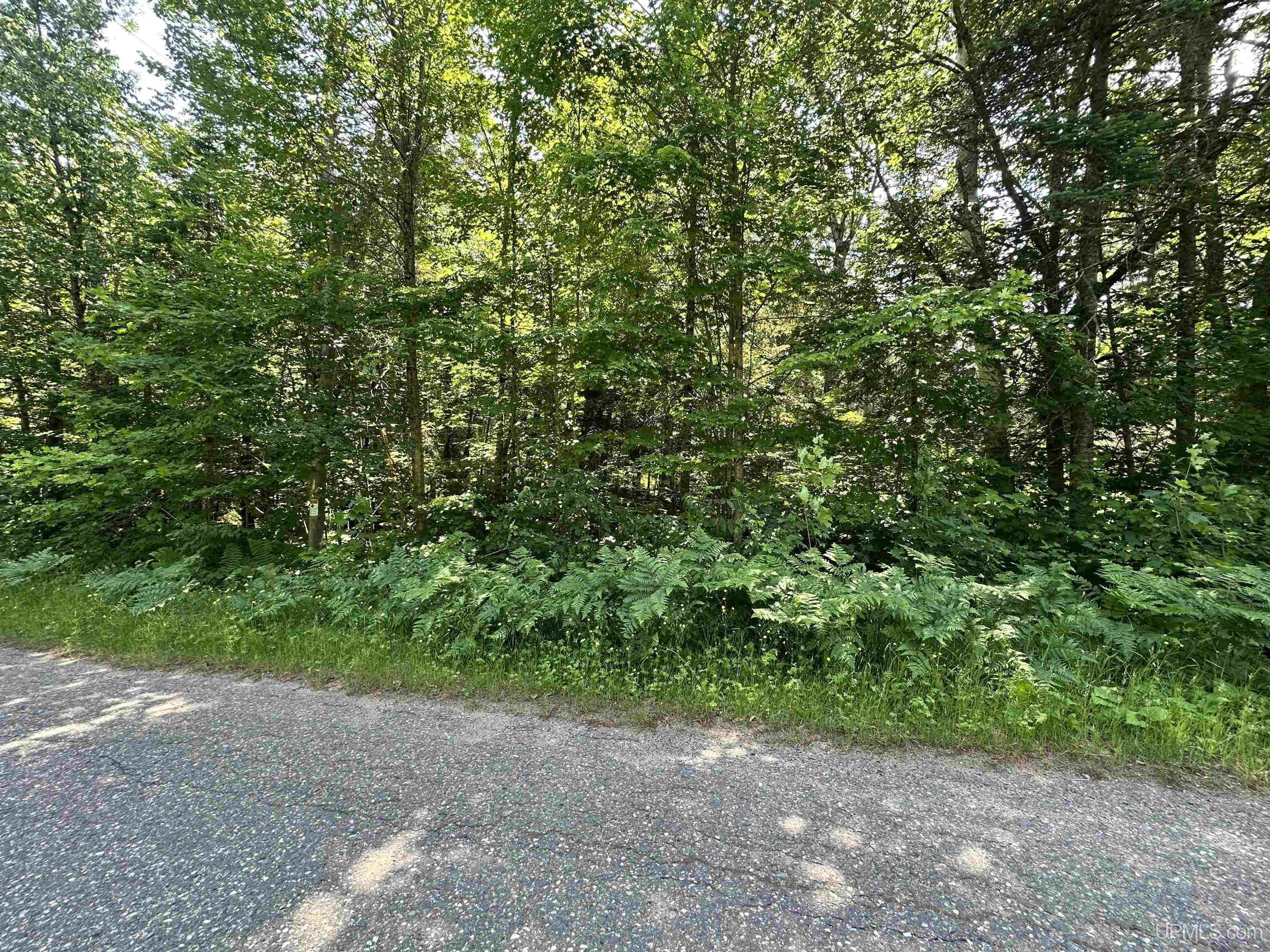 482 Rd Ishpeming Mi 49849 Road Ishpeming, MI 49849 - Photo 3 of 7