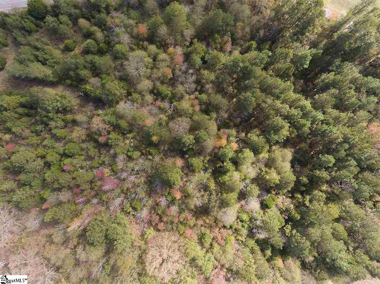 Dunklin Bridge Road Fountain Inn, SC 29644 - Photo 6 of 14 Gallery Image 6
