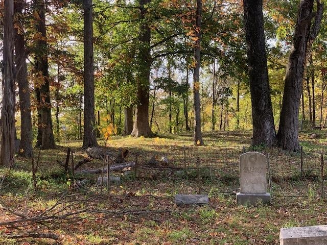0 Raleigh Lagrange Road Memphis, TN 38128 - Photo 12 of 26 a view of outdoor space with trees