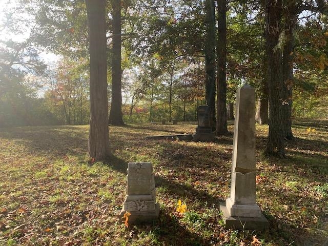 0 Raleigh Lagrange Road Memphis, TN 38128 - Photo 14 of 26 a view of a yard with trees