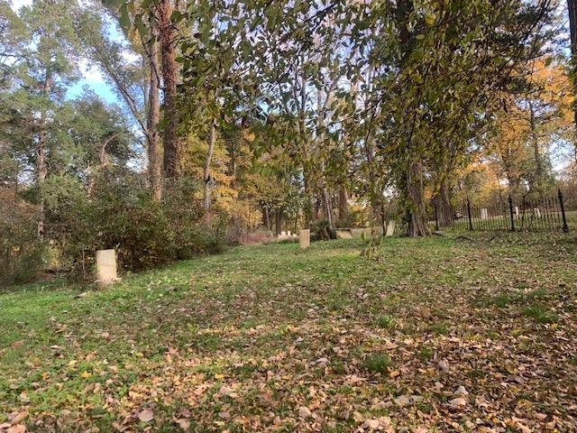 0 Raleigh Lagrange Road Memphis, TN 38128 - Photo 17 of 26 a big yard with lots of green space and trees
