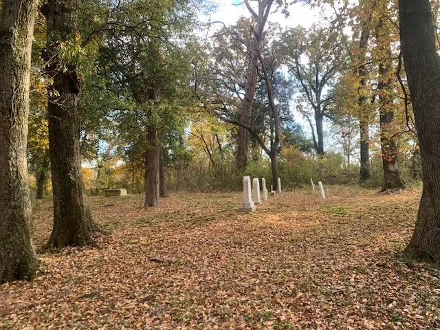 a view of outdoor space with trees