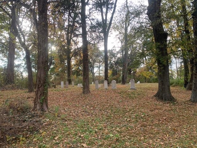 0 Raleigh Lagrange Road Memphis, TN 38128 - Photo 21 of 26 a view of outdoor space with trees