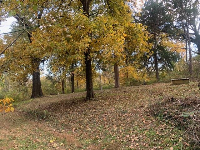 0 Raleigh Lagrange Road Memphis, TN 38128 - Photo 22 of 26 a view of a yard with trees