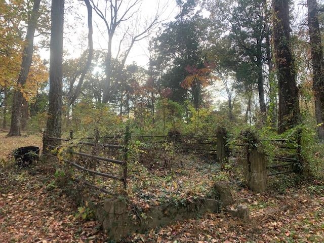 0 Raleigh Lagrange Road Memphis, TN 38128 - Photo 24 of 26 a view of a forest with lots of trees