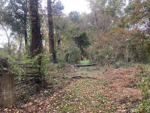0 Raleigh Lagrange Road Memphis, TN 38128 - Photo 25 of 26 a view of a forest with trees in the background