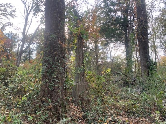 0 Raleigh Lagrange Road Memphis, TN 38128 - Photo 26 of 26 a view of forest