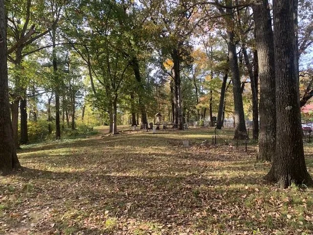 a view of outdoor space with trees