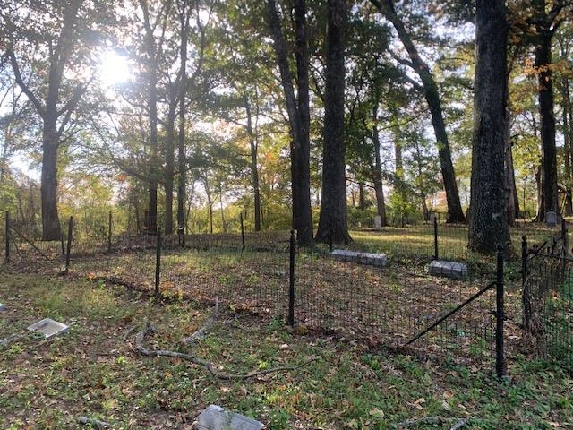 0 Raleigh Lagrange Road Memphis, TN 38128 - Photo 6 of 26 a view of a tree in the middle of a yard