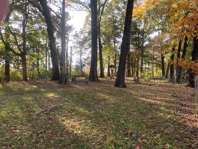 0 Raleigh Lagrange Road Memphis, TN 38128 - Photo 7 of 26 a view of outdoor space with trees