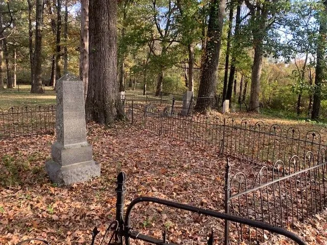 a view of a yard with plants and trees
