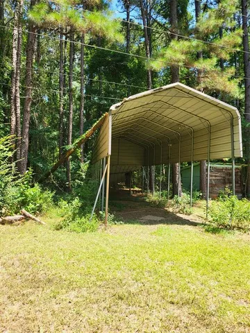 a view of a yard with plants and large trees