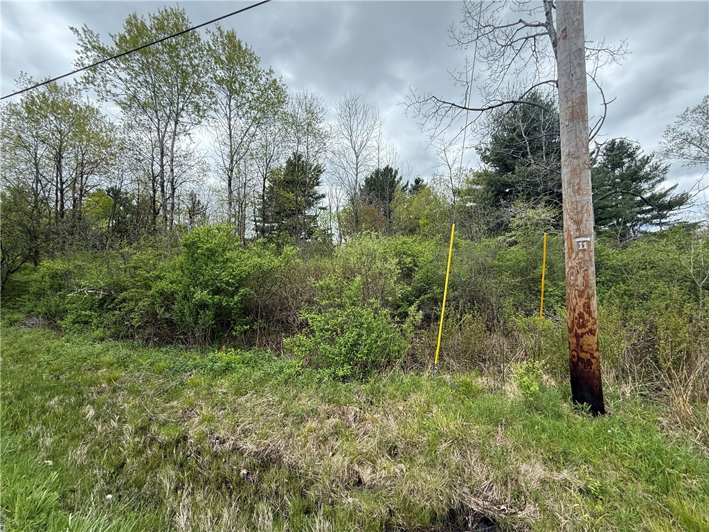 Caswell Road Freeville, NY 13068 - Photo 41 of 47