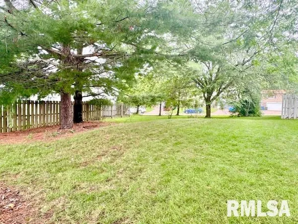 a view of a garden with a tree