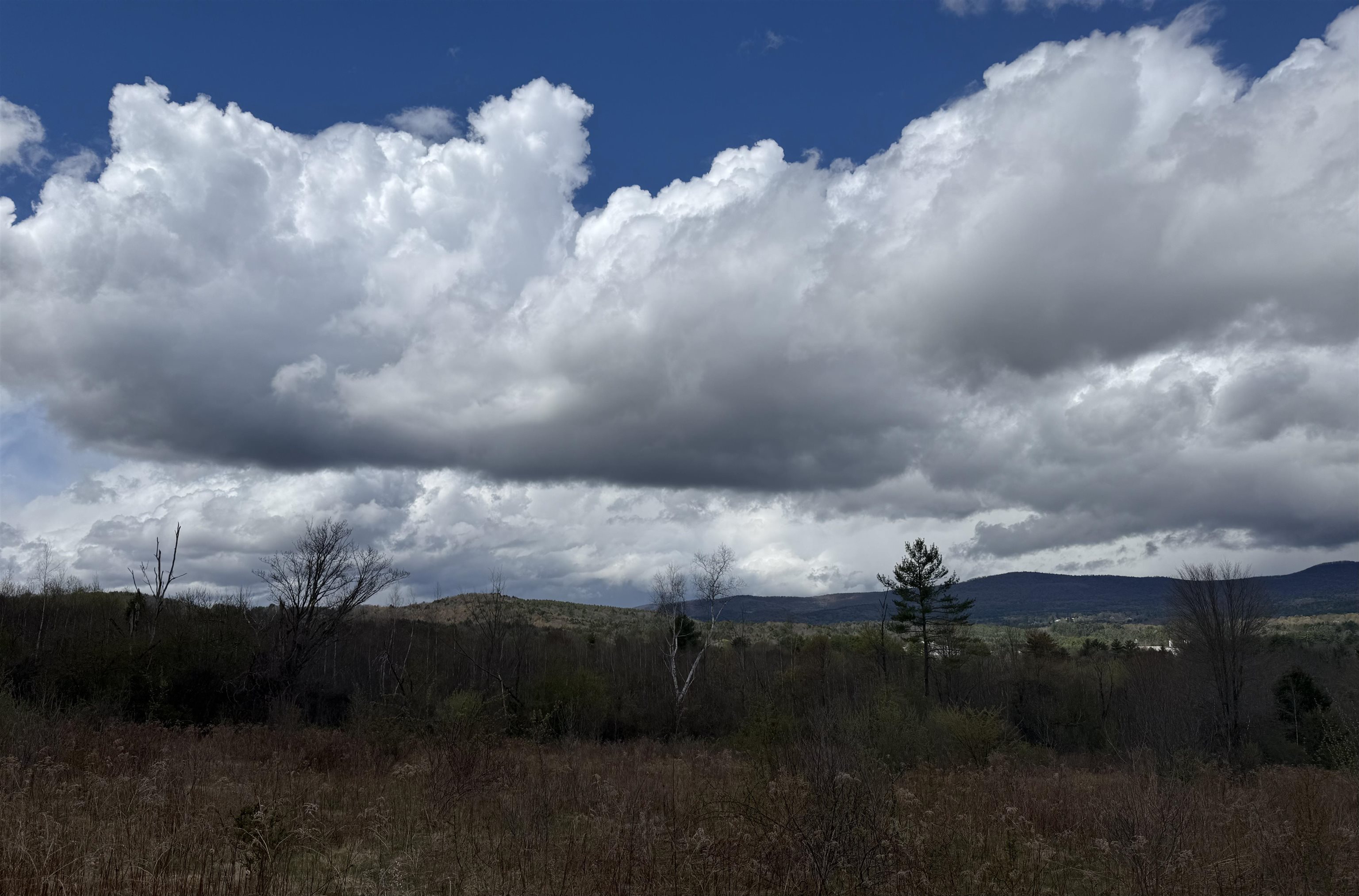 0 French Meadow Road Springfield, VT 05156 - Photo 4 of 13