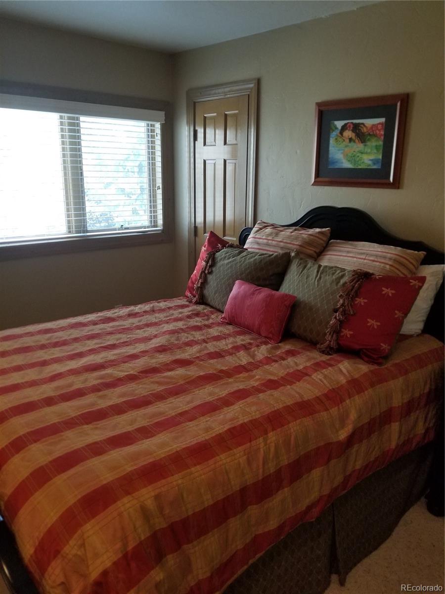 10 Shotgun Circle Edwards, CO 81632 - Photo 33 of 33 a bedroom with a bed and a window