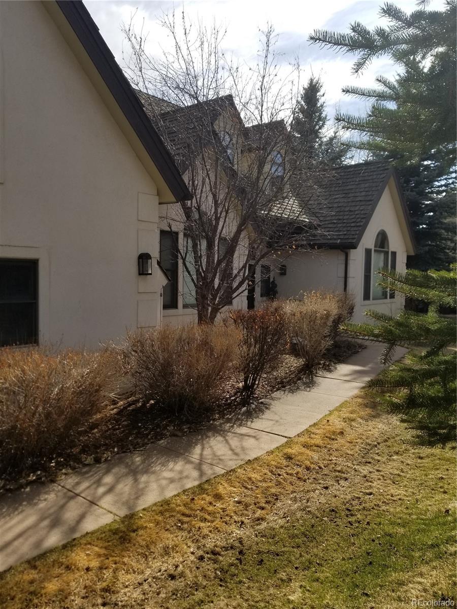 10 Shotgun Circle Edwards, CO 81632 - Photo 4 of 33 a backyard of a house with lots of green space