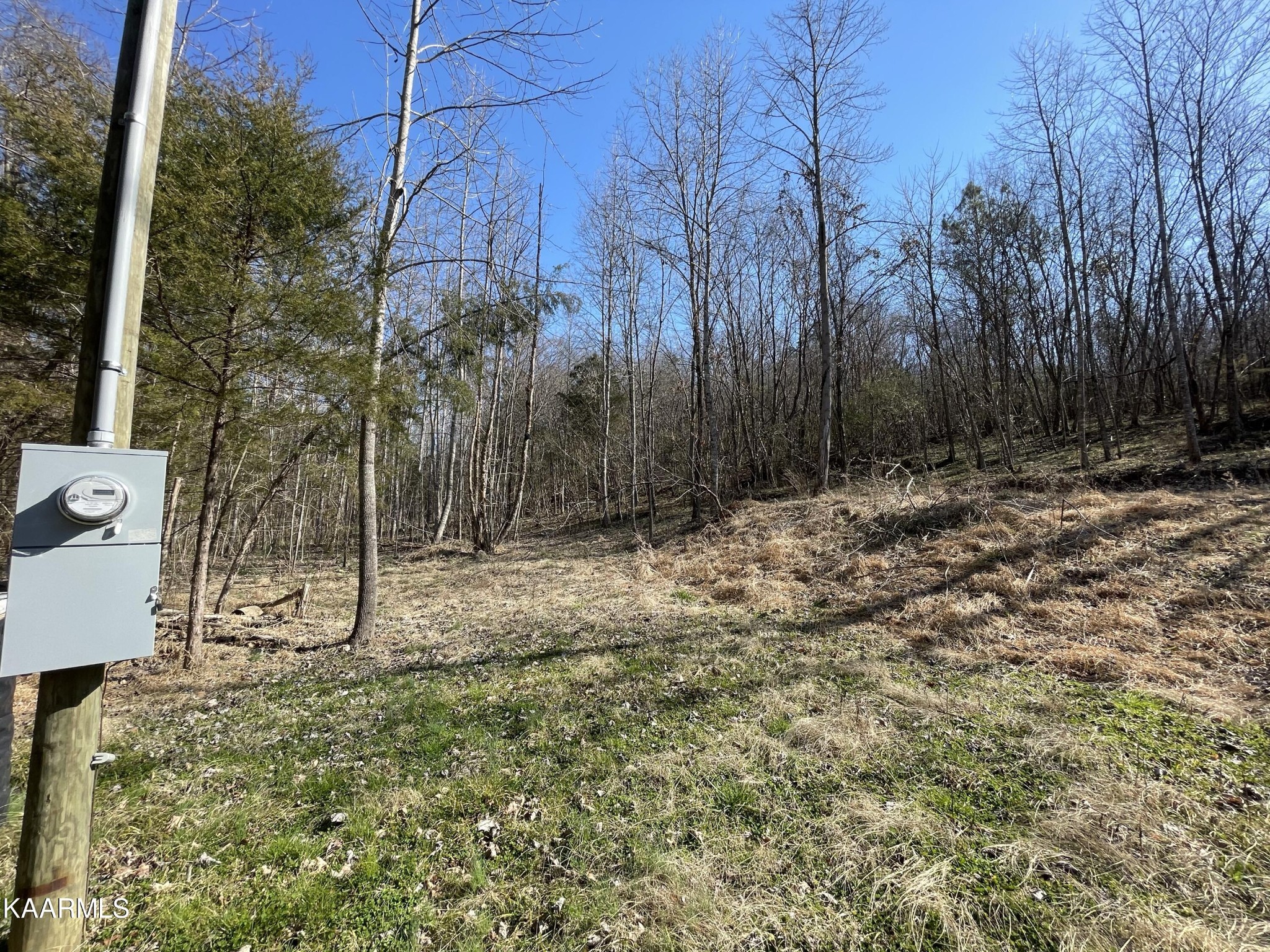 102 Mountain Mist Lane Del Rio, TN 37727 - Photo 5 of 35 a view of outdoor space with trees