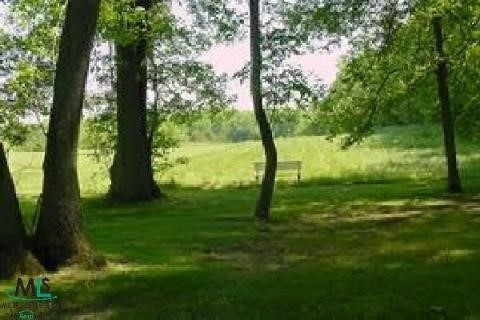 4268 Deckerville Road Deckerville, MI 48427 - Photo 8 of 12 716472-7.JPG