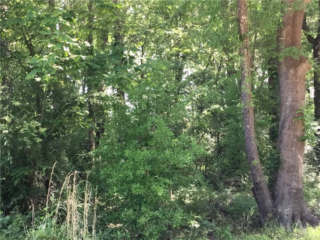 0 H H Bryant Road Deville, LA 71328 - Photo 1 of 3