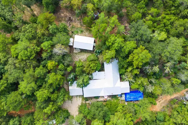 a view of a yard with trees