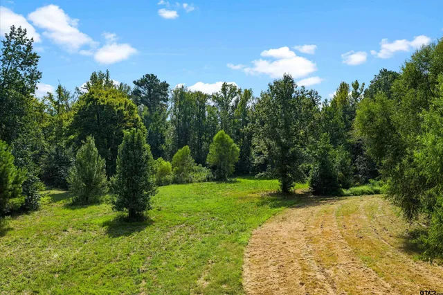 a view of a garden with a tree in the background