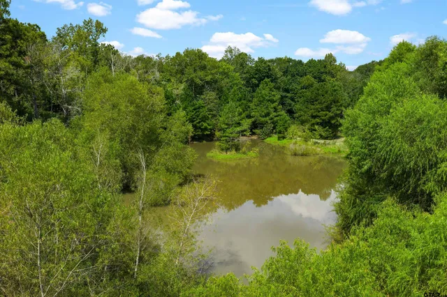 a view of a lake from a yard