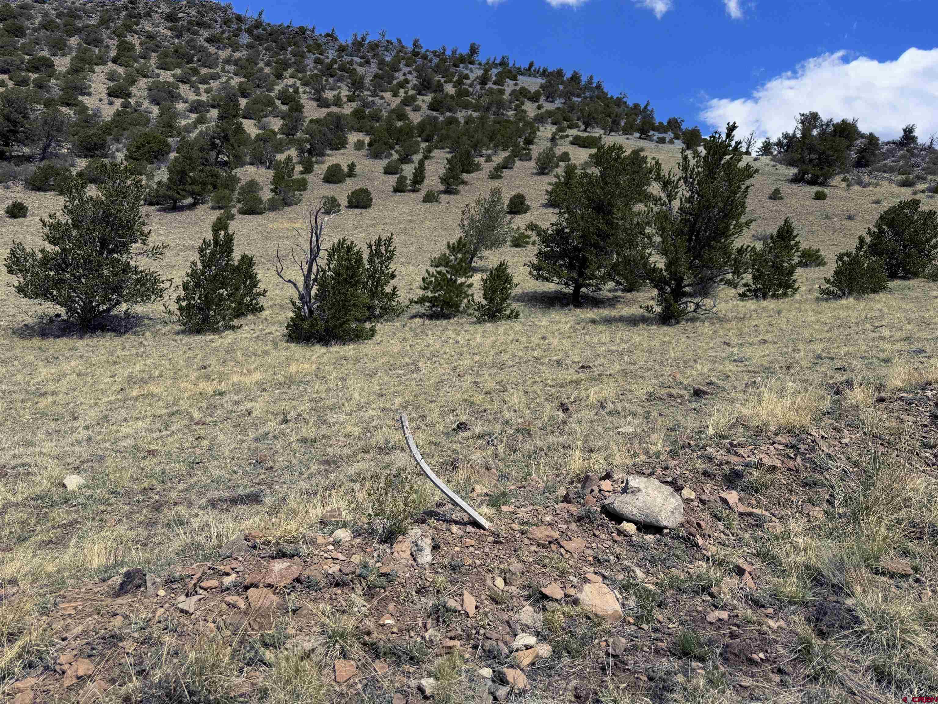 Tbd Tbd Tbd La Del Norte, CO 81132 - Photo 5 of 10 a view of a dry yard with trees