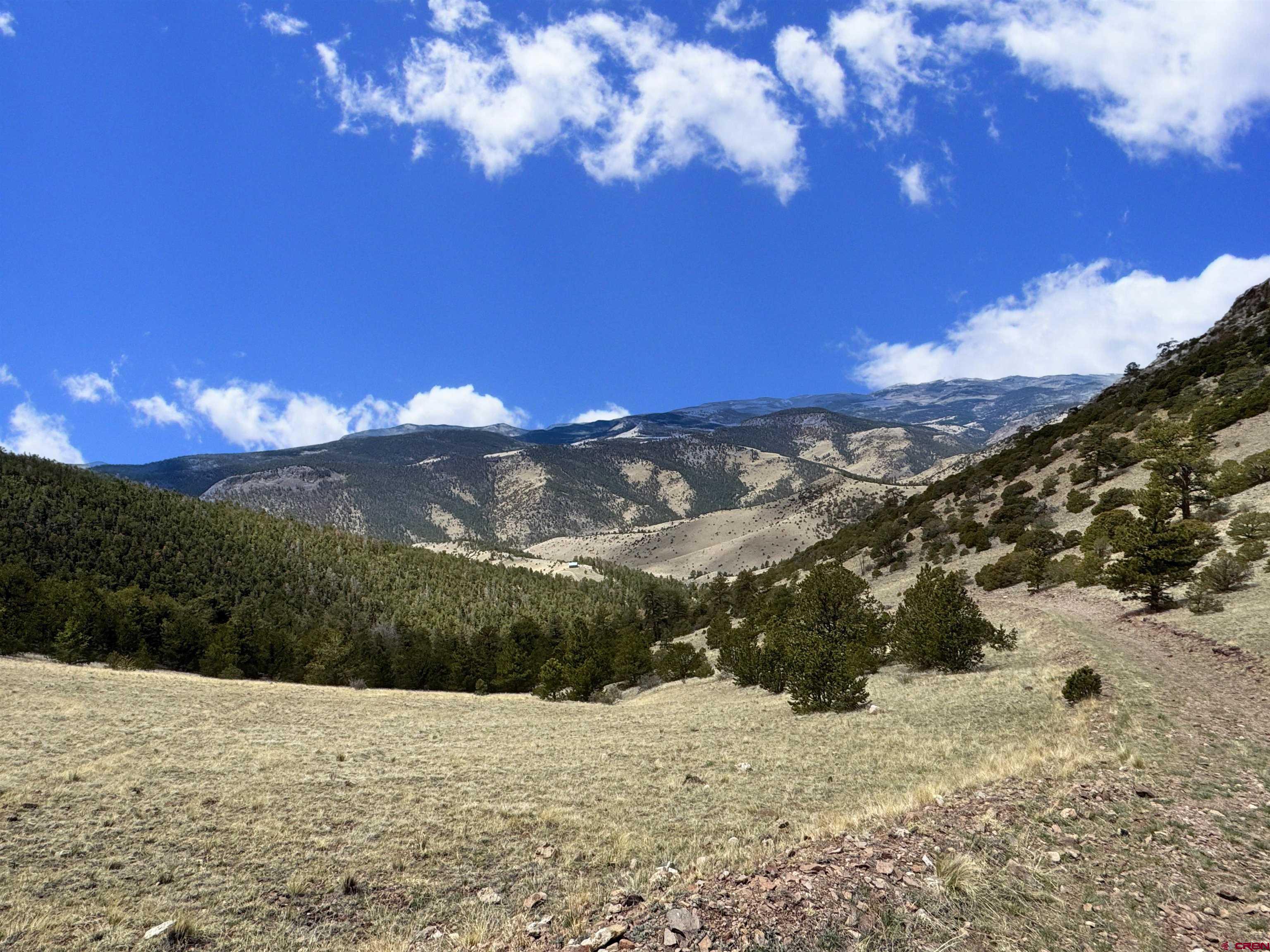 Tbd Tbd Tbd La Del Norte, CO 81132 - Photo 6 of 10 a view of a yard with a tree