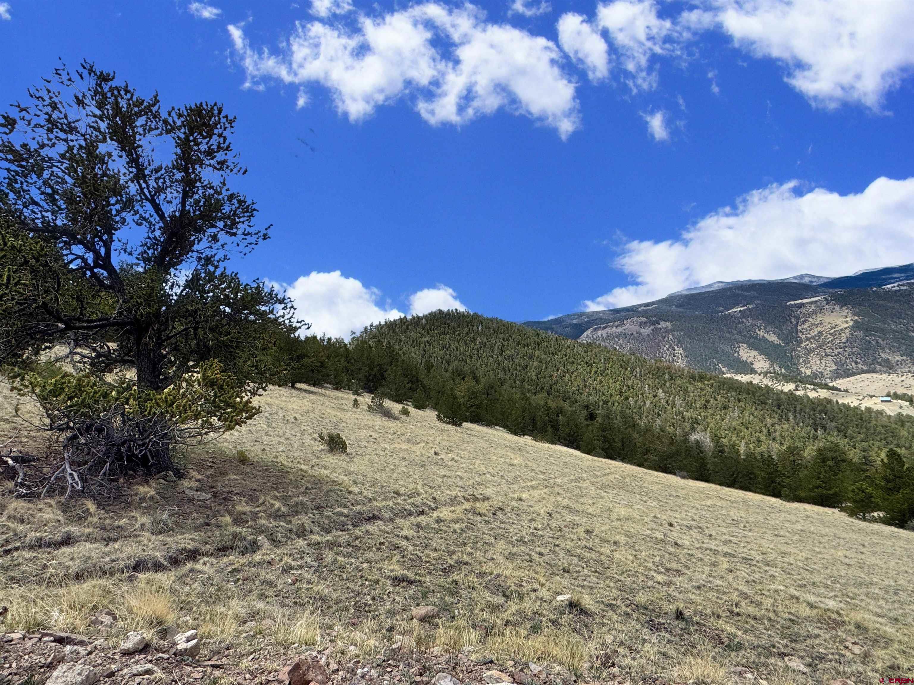 Tbd Tbd Tbd La Del Norte, CO 81132 - Photo 8 of 10 a view of a dry yard